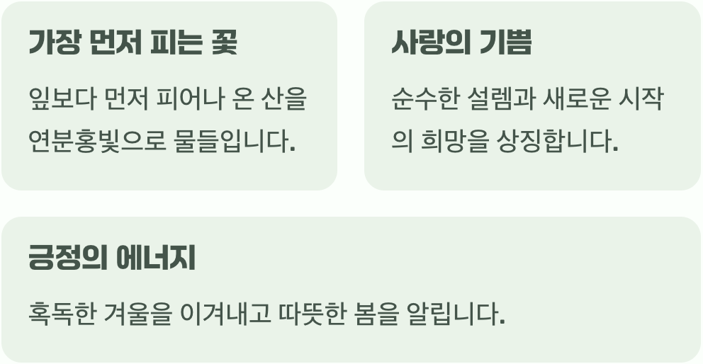봄의 산을 물들이는 첫사랑의 설렘