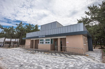 연곡솔향기캠핑장5