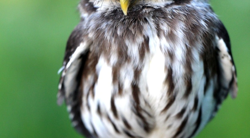 2025년 정보처리기사 시험 일정