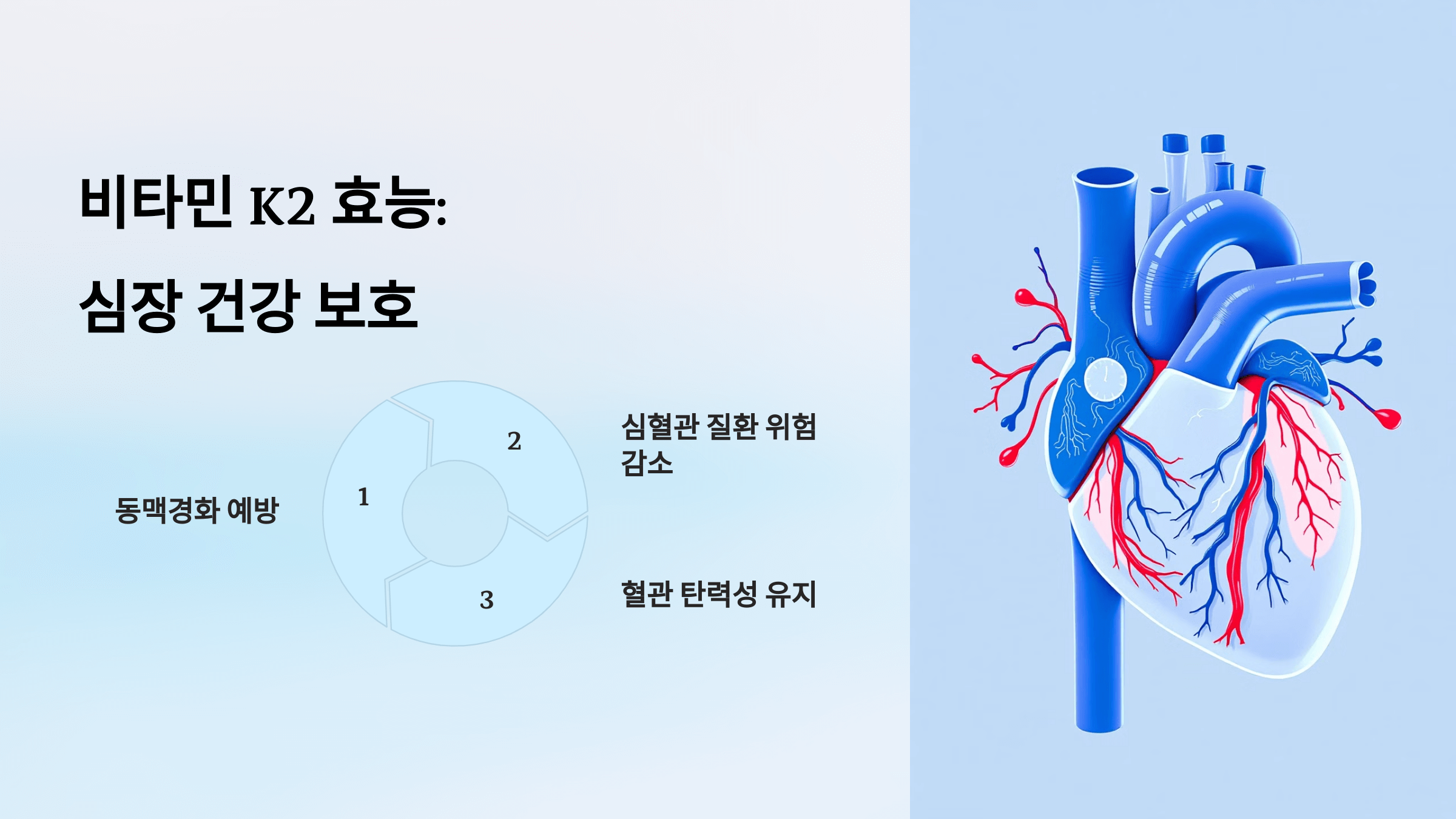 비타민k2와 관련된 사진입니다.