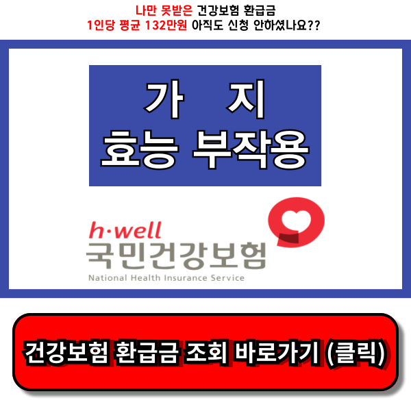 가지 효능과 부작용