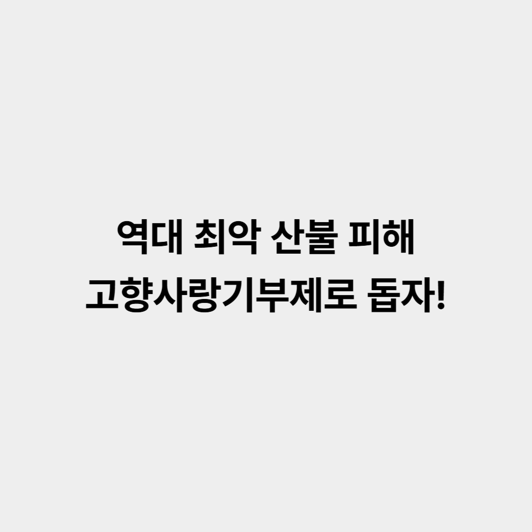 역대 최악 산불 피해, 고향사랑기부제로 돕고 세액공제·답례품 혜택까지 받아보세요
