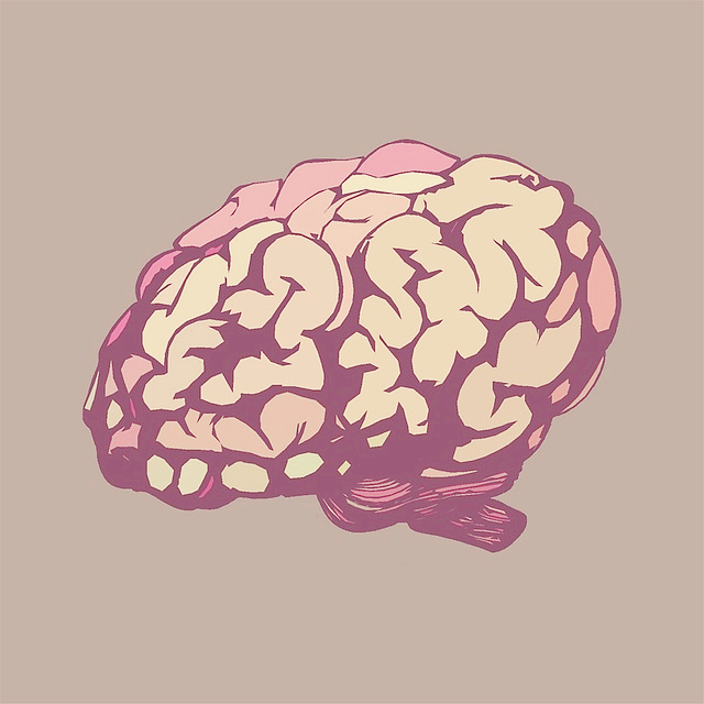 brain1