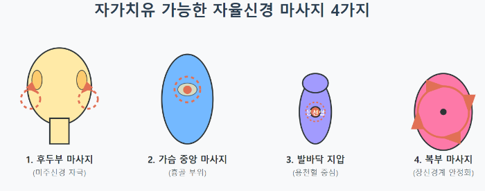 자가치유 가능한 자율신경 마사지