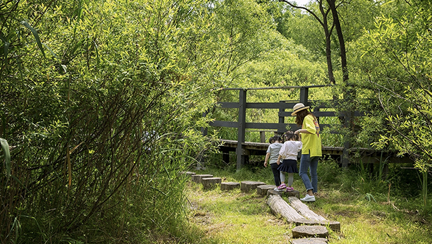 길동생태공원 이미지