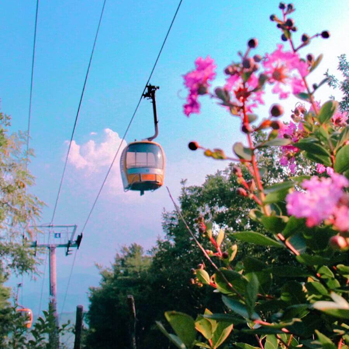 대구-팔공산-케이블카-이미지