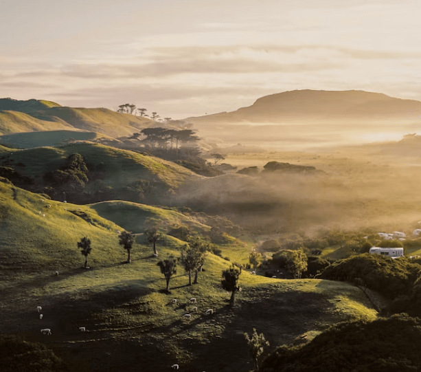 뉴질랜드 여행 완벽 가이드: 초보를 위한 일정과 꿀팁