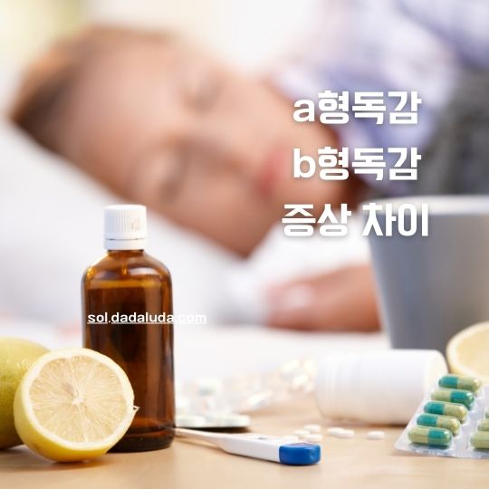 a형독감 b형독감 증상 차이 격리기간 