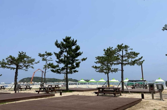 고성 가볼만한곳 베스트10