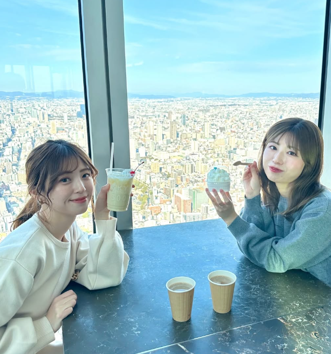 간사이조이패스 아베노하루카스300