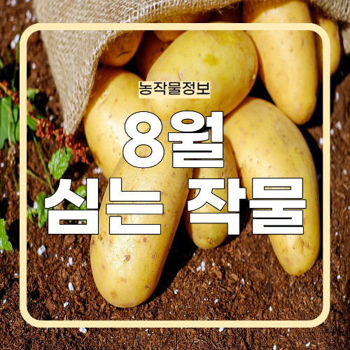 8월에 심는 작물