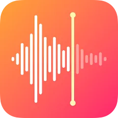 음성 맛집 베스트10 현지인 강력 추천 맛집_5