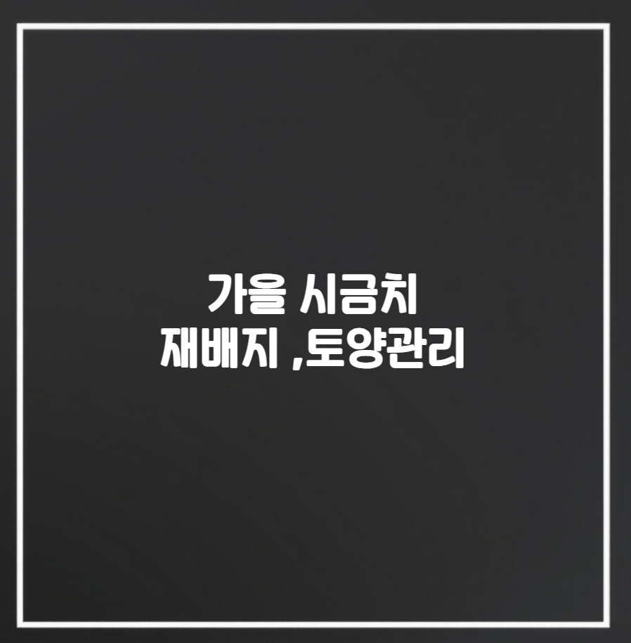 가을 시금치 재배지 선택과 토양 관리