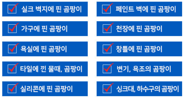 곰팡이 제거제 젤형태 벽지 천장9