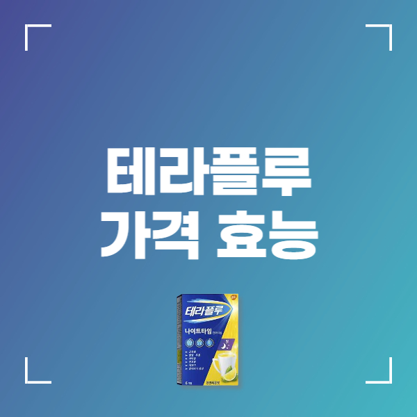 테라플루 나이트 데이타임 가격 효능 부작용 복용법 파는곳 편의점