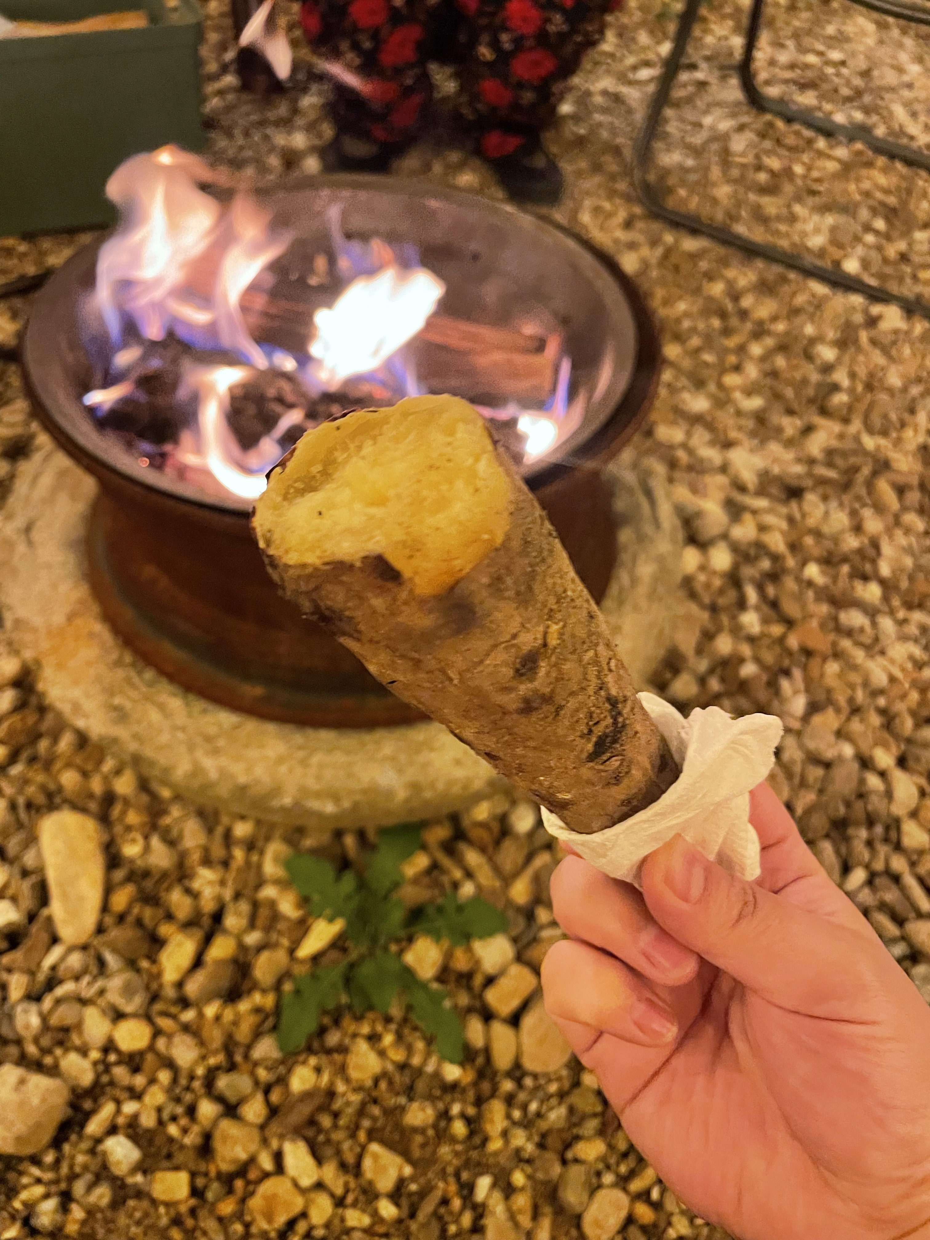 촌캉스