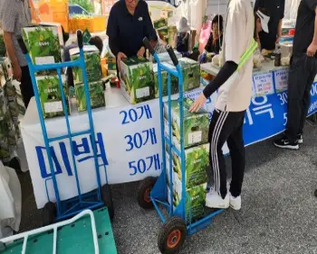 홍천 찰옥수수 축제 판매_2