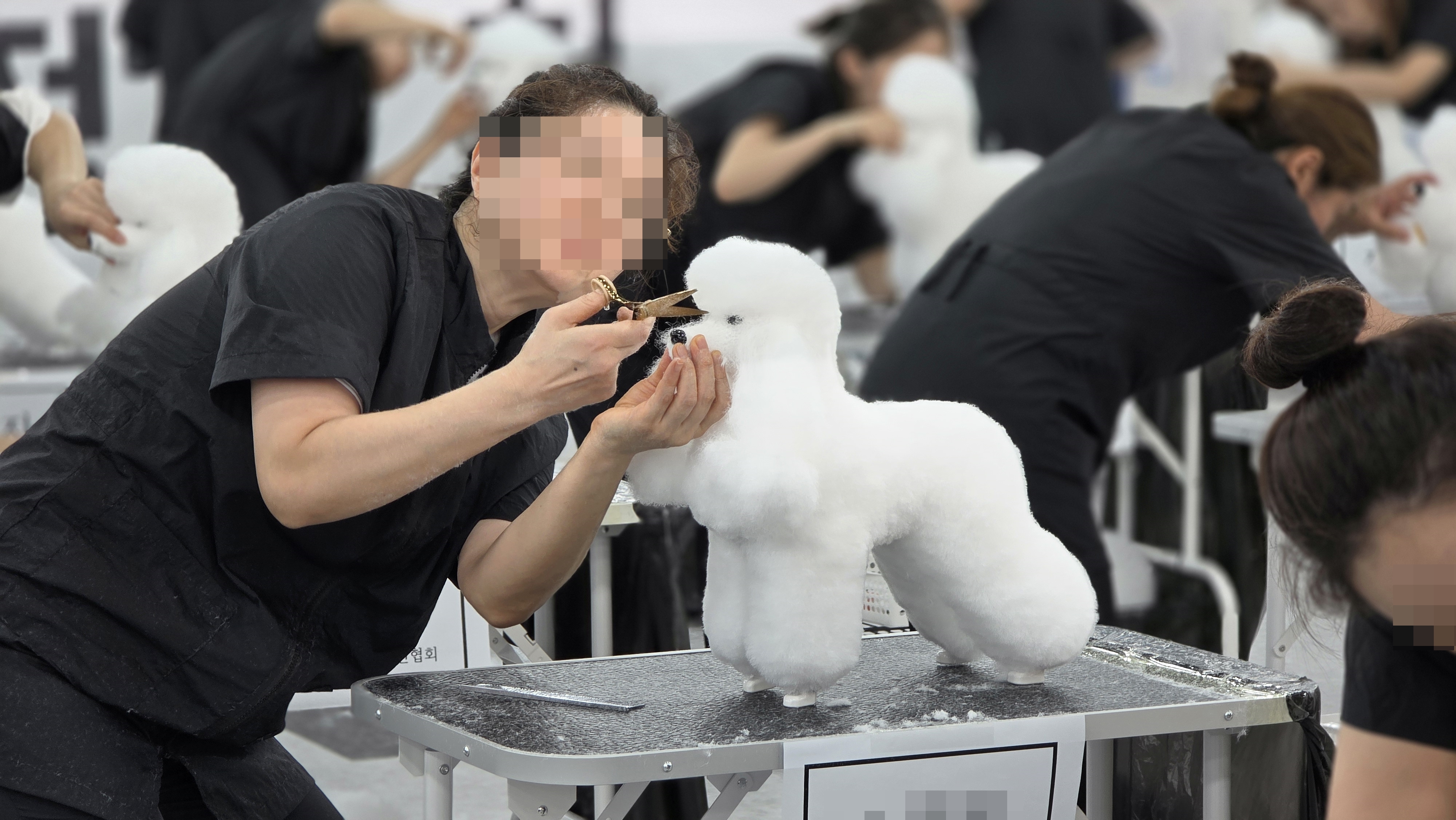 애견미용사자격증국비지원