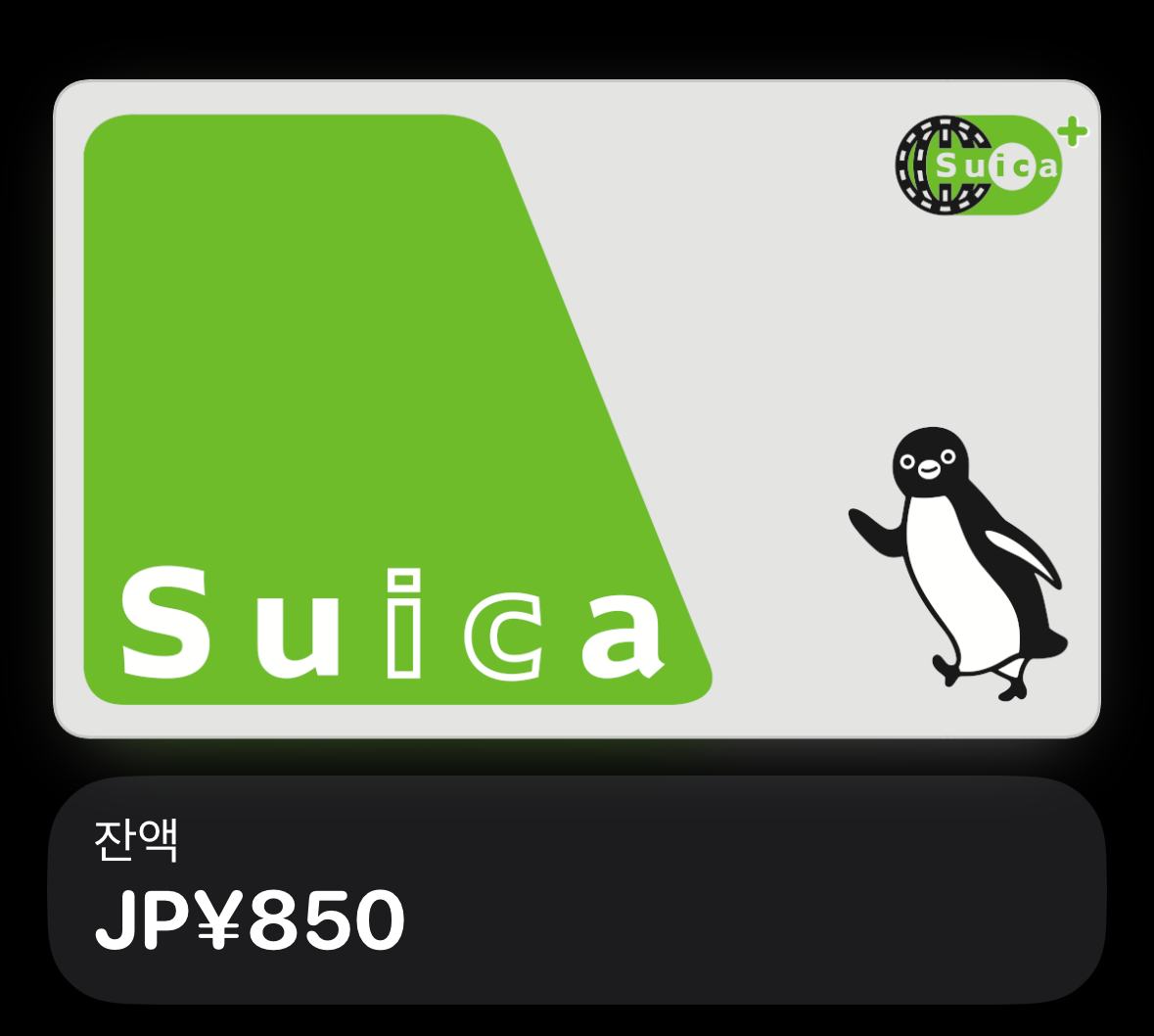 아이폰 스이카 카드 사진