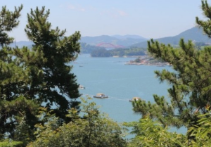 6월 전국 등나무꽃 명소 TOP 5