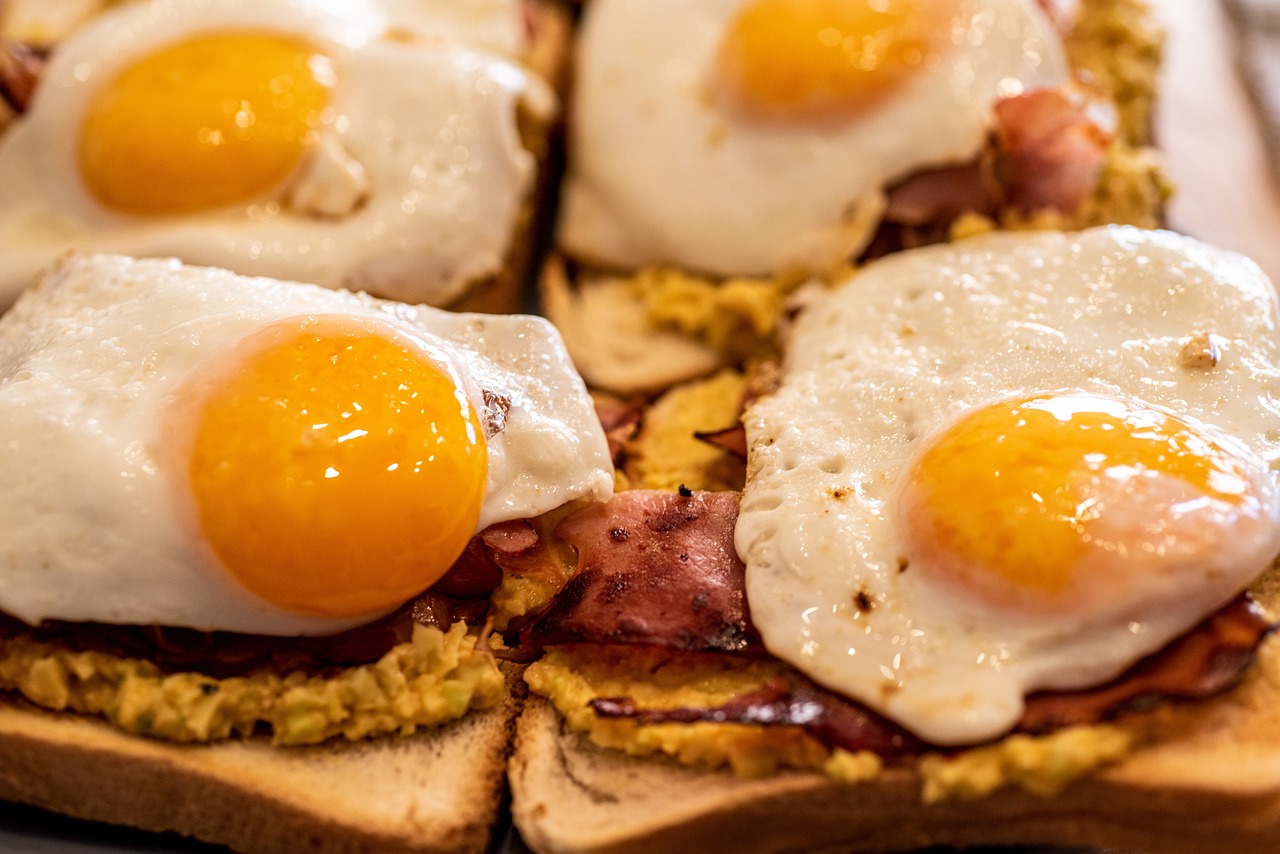 고단백질 - 사진