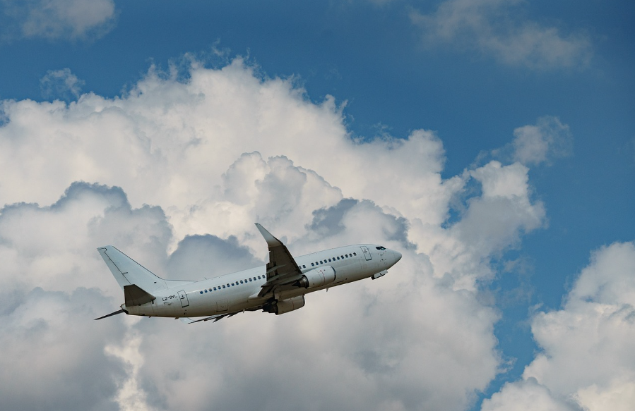 해외 가족여행 관련 사진