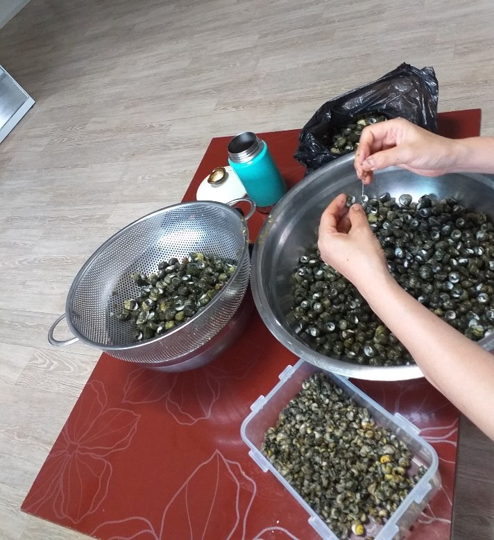 바다고동삶는법