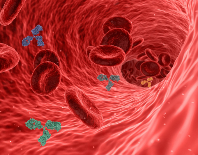 성인간호학 심혈관질환의 주요 증상과 진단 방법, 예방과 치료