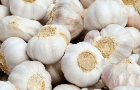 몸속-염증에-좋은-음식