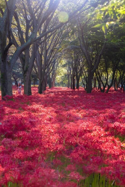 영광불갑산