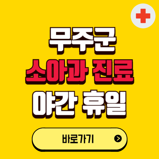무주군 야간 소아과 진료병원 찾기 ❘ 24시 일요일 주말 연휴 응급진료 추천 잘하는 곳
