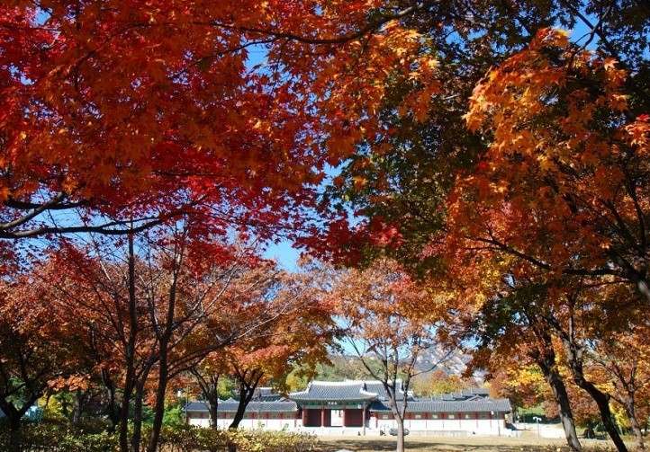 지하철로 쉽게 가는 서울 단풍 명소 (경희궁, 온수역, 경의선숲길)