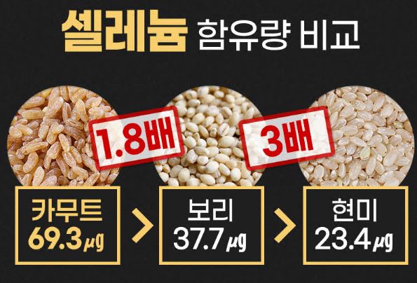 카무트효소 효능