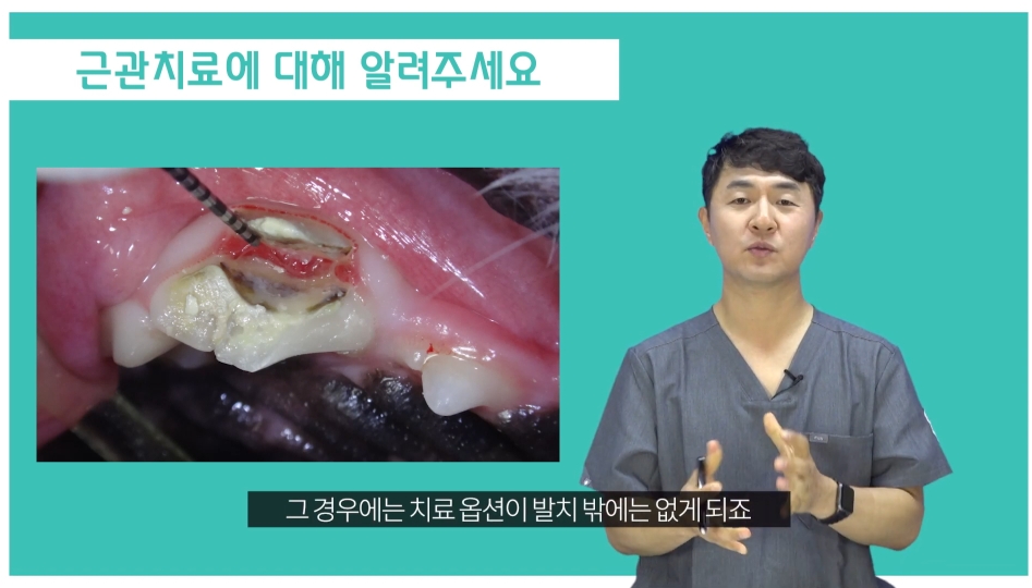 발치-필요한-치아-상태