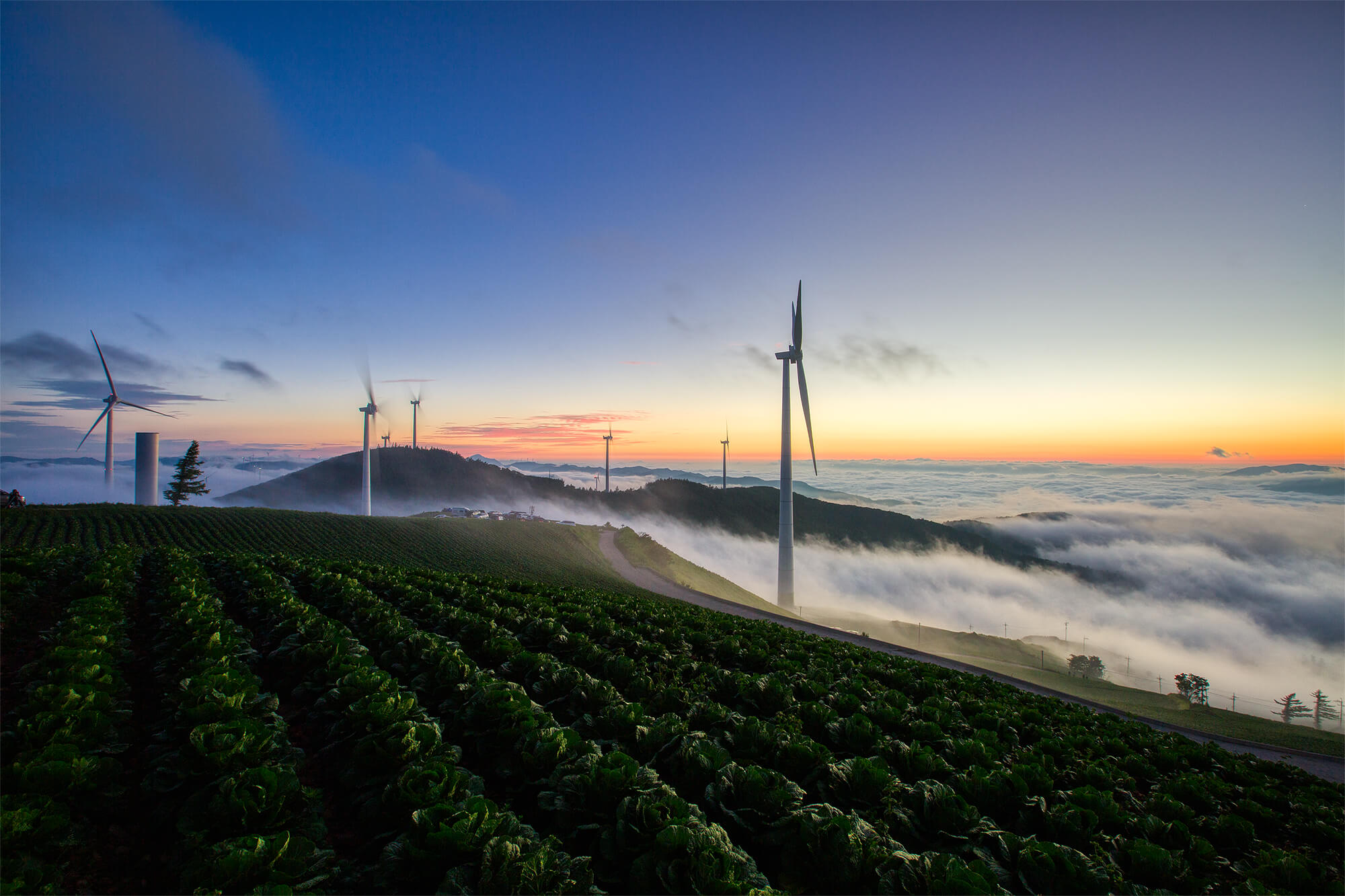 태택 매봉산 일출-2