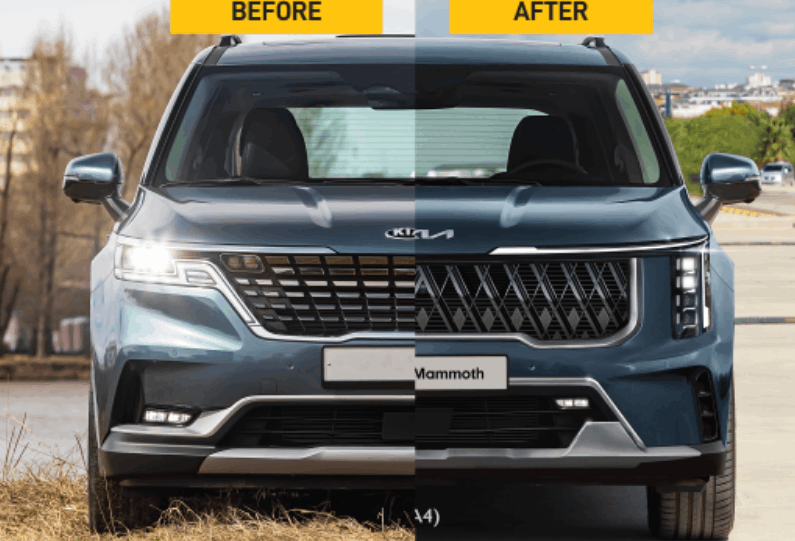 카니발하이브리드