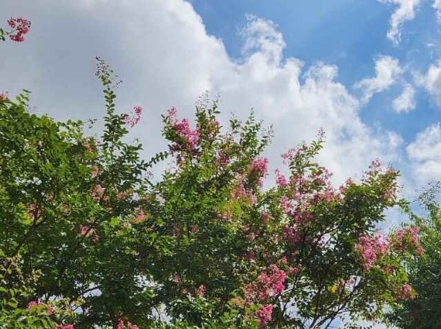 창원 가볼만한곳 베스트 10