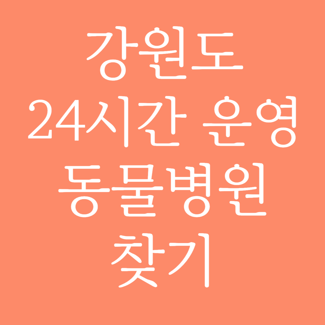 강원도 24시간 운영 동물병원 찾기