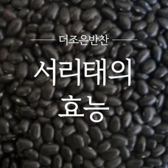 서리태 효능 콩물 만드는방법 수확시기 서리태콩 정보_48