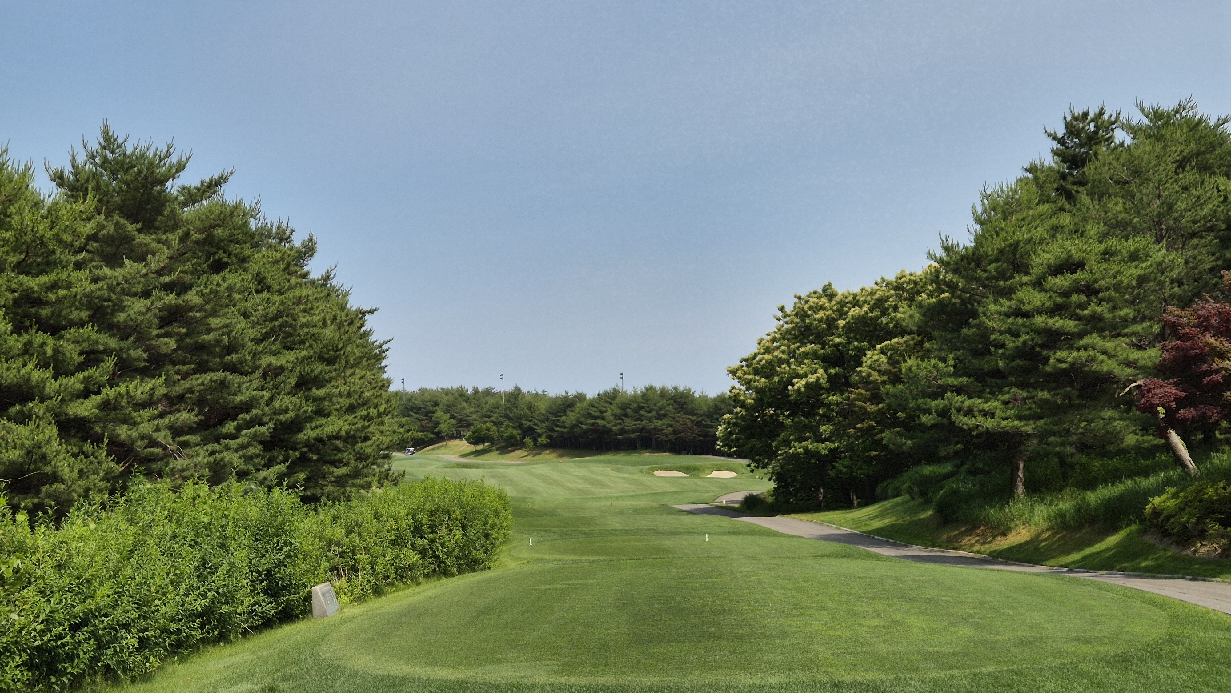 파인리즈cc 후기 및 코스사진