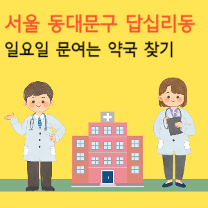 서울 동대문구 답십리동 일요일 당번약국