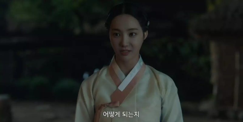옥씨부인전 차미령 모모랜드 연우 성도겸 아내역 외지부 역할 우리,집 이세나