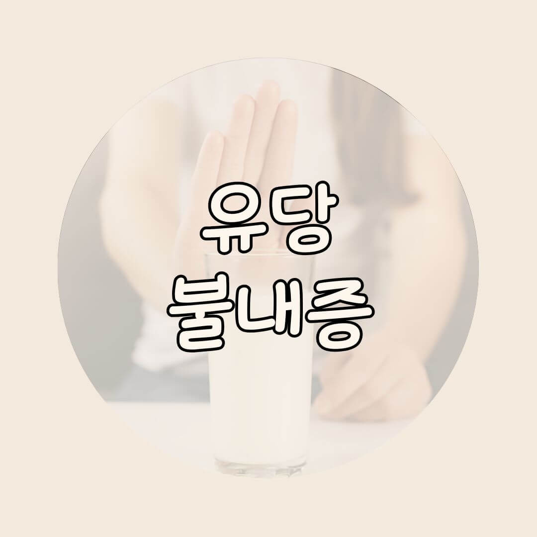 유당불내증