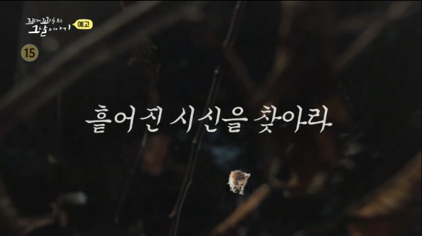 암수살인 범인