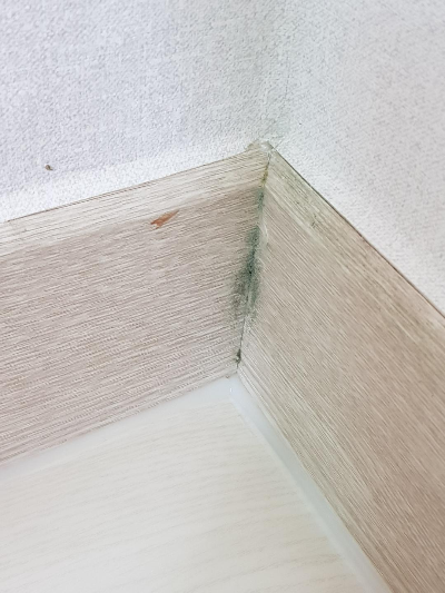 습기없애는법