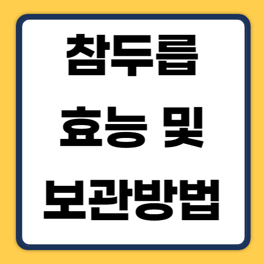 참두릅 효능 및 보관방법