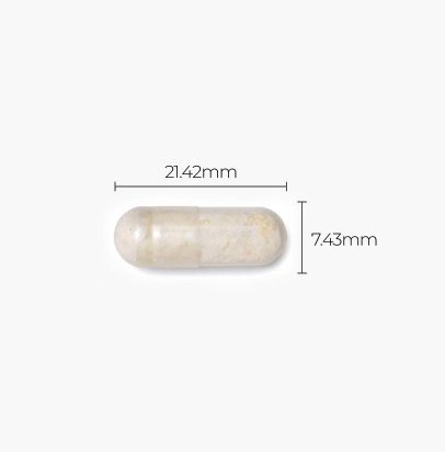 ํ๋ก๋ฐ์ด์คํฑ์ค, ์์ฐ, ์
๋ ํฌํจ๋ ํผํ ํฑ์ค ์๋ก์ฐ / 500mg x 30์บก์(15g)