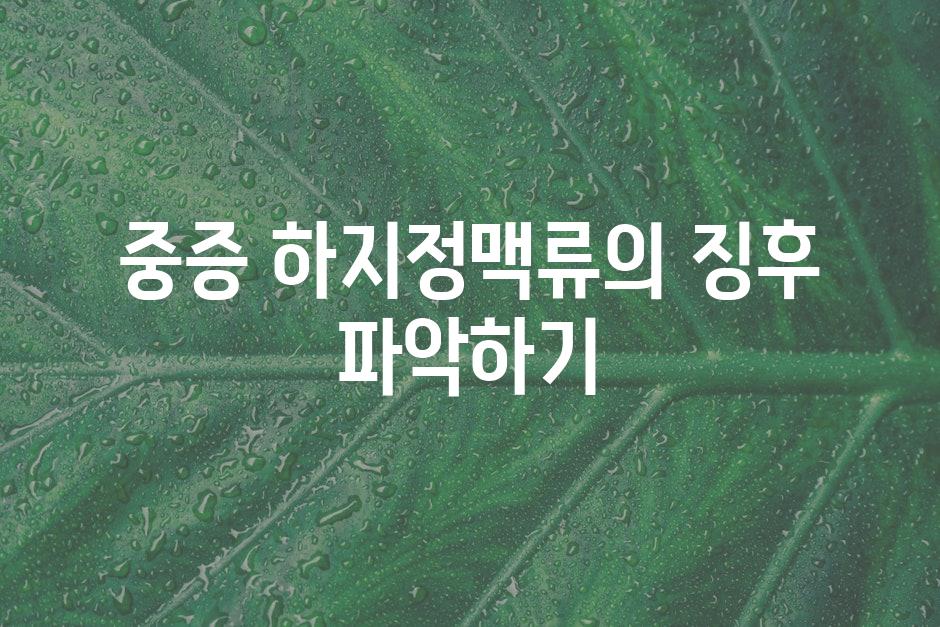 중증 하지정맥류의 징후 파악하기