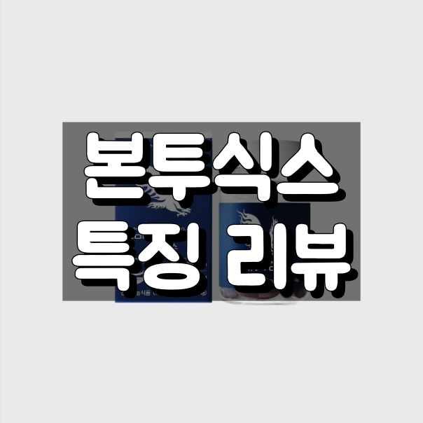 본투식스 대표 이미지
