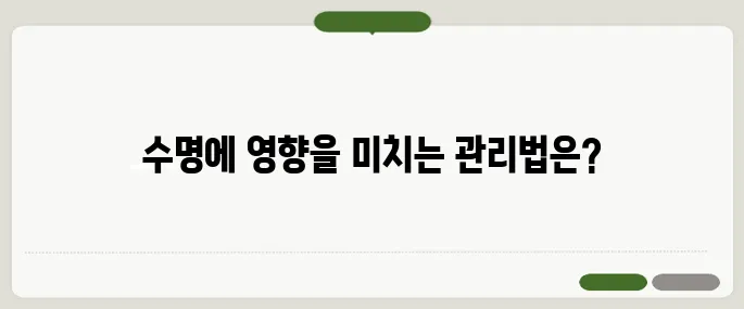 임플란트 수명은 얼마나? 관리에 따라 달라집니다